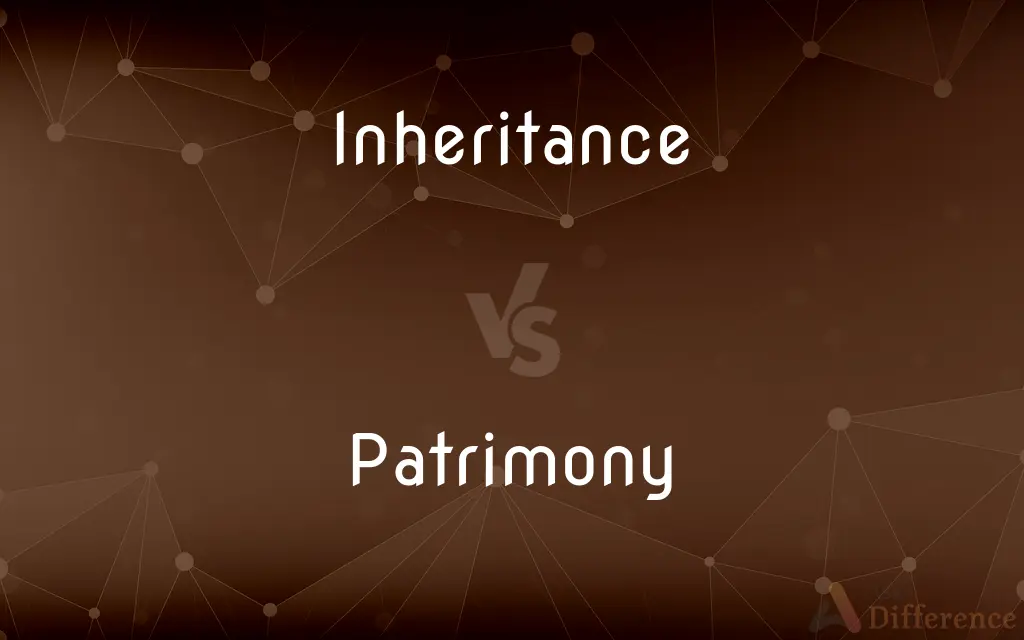 Inheritance vs. Patrimony — What's the Difference?