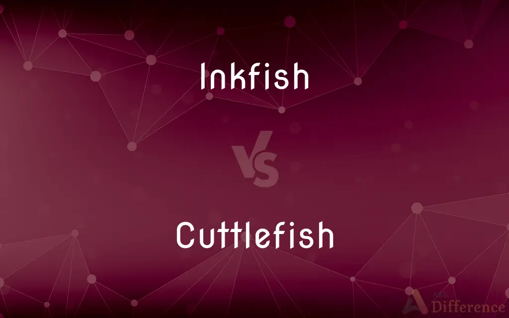 Inkfish vs. Cuttlefish — What's the Difference?