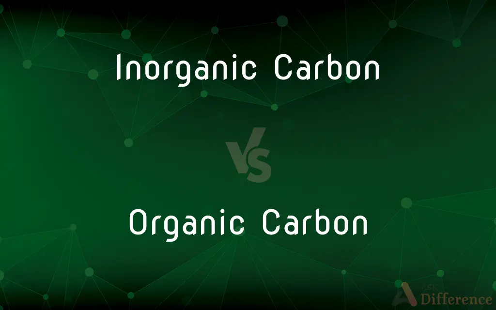 Inorganic Carbon vs. Organic Carbon — What's the Difference?