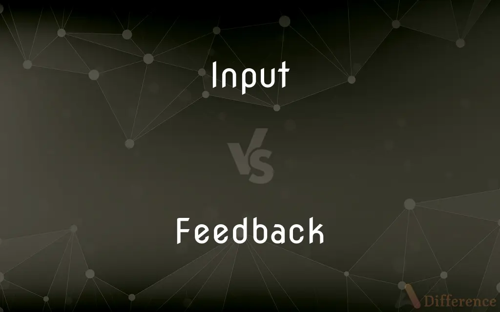 Input vs. Feedback — What's the Difference?