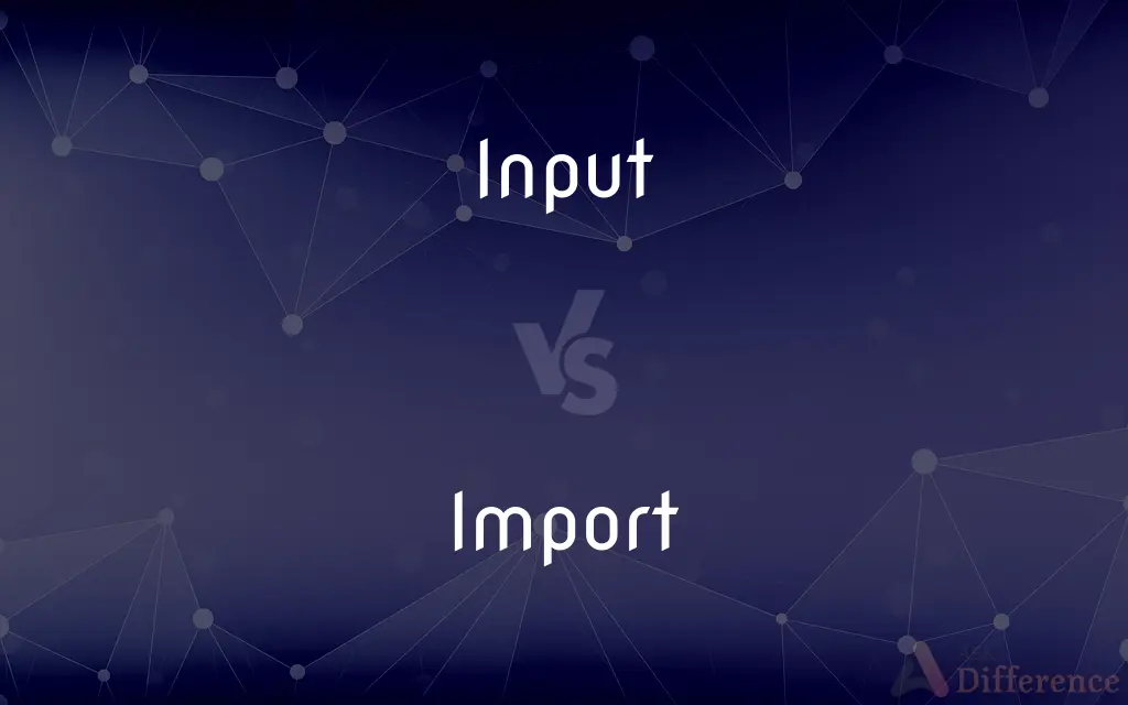 Input vs. Import — What's the Difference?