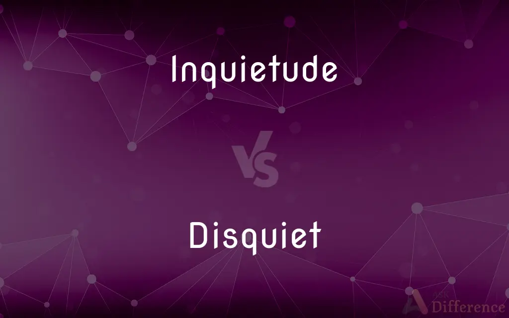 Inquietude vs. Disquiet — What's the Difference?