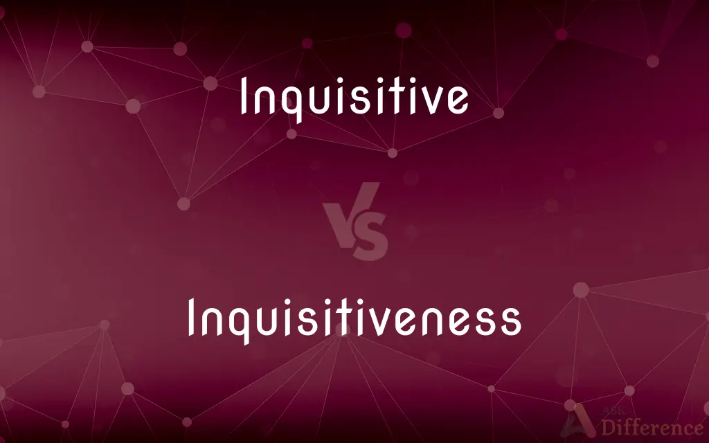 Inquisitive vs. Inquisitiveness — What's the Difference?