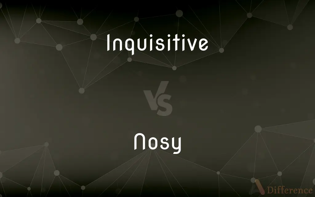 Inquisitive vs. Nosy — What's the Difference?