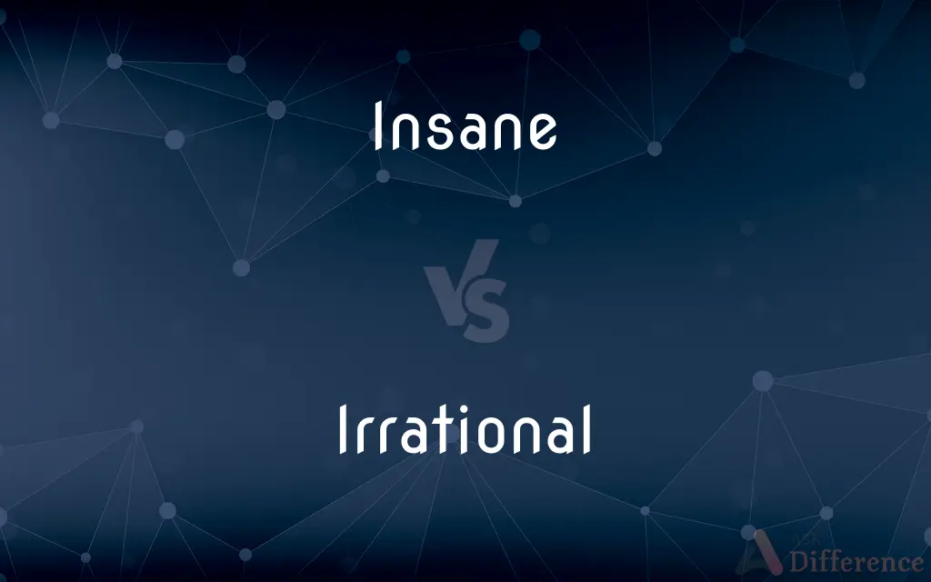 Insane vs. Irrational — What's the Difference?