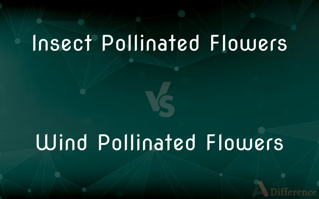 Insect Pollinated Flowers vs. Wind Pollinated Flowers — What's the Difference?