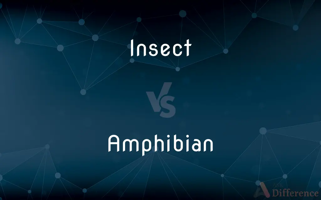 Insect vs. Amphibian — What's the Difference?