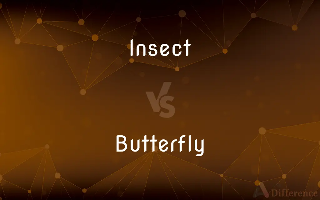 Insect vs. Butterfly — What's the Difference?