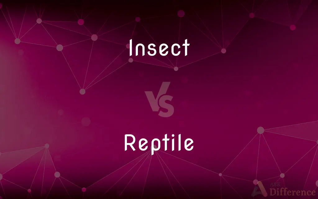 Insect vs. Reptile