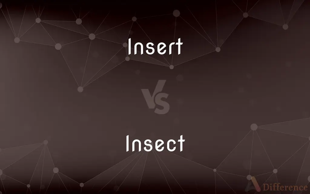Insert vs. Insect — What's the Difference?