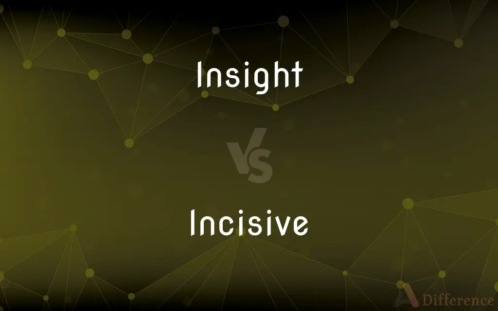 Insight vs. Incisive — What's the Difference?