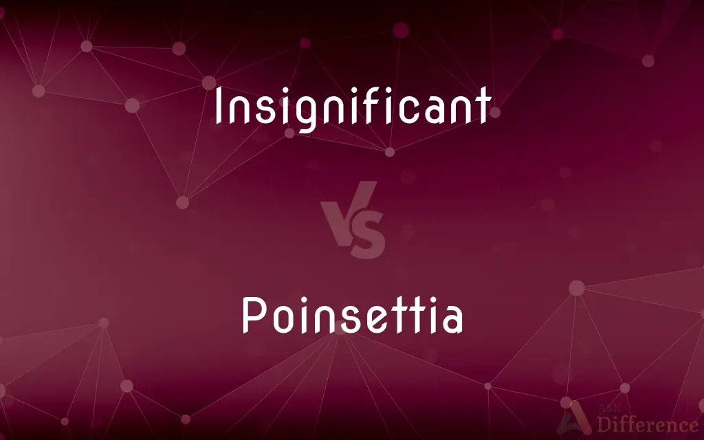 Insignificant vs. Poinsettia — What's the Difference?