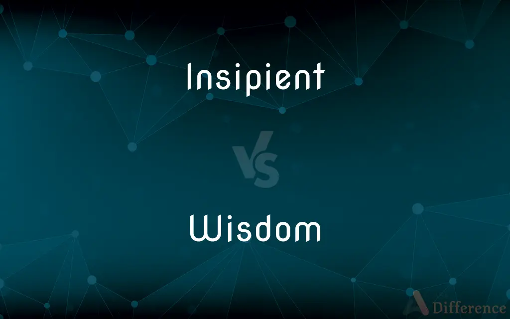 Insipient vs. Wisdom — What's the Difference?