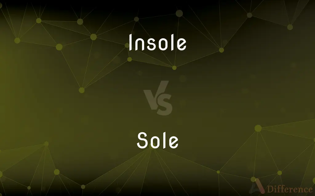 Insole vs. Sole — What's the Difference?
