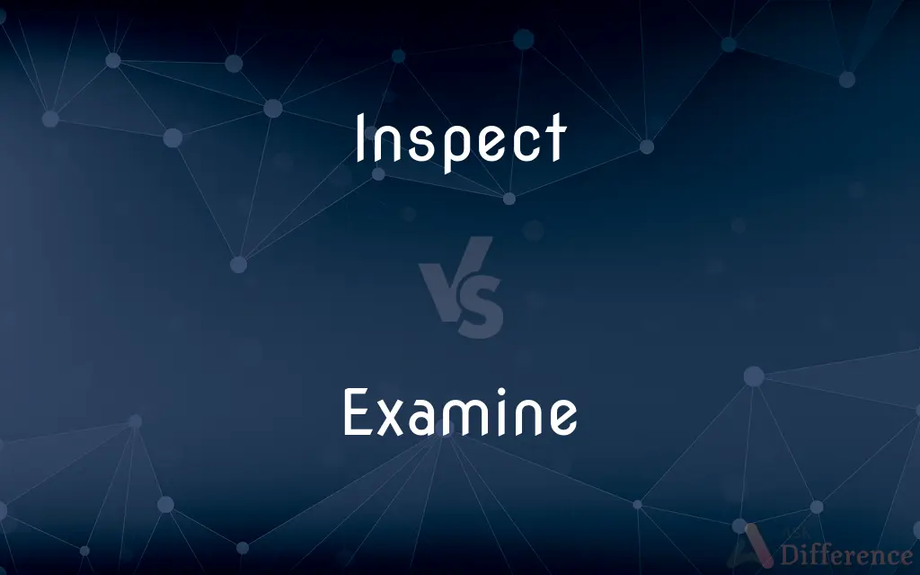Inspect vs. Examine — What's the Difference?