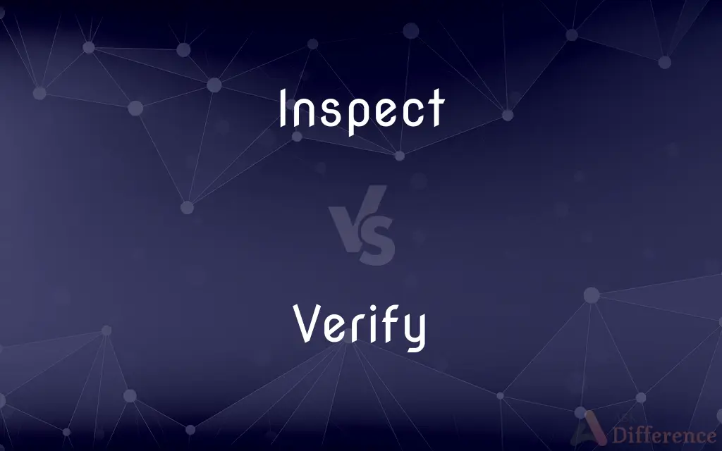 Inspect vs. Verify — What's the Difference?