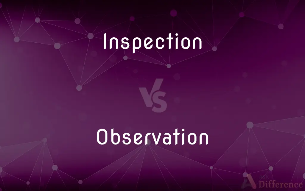 Inspection vs. Observation — What's the Difference?