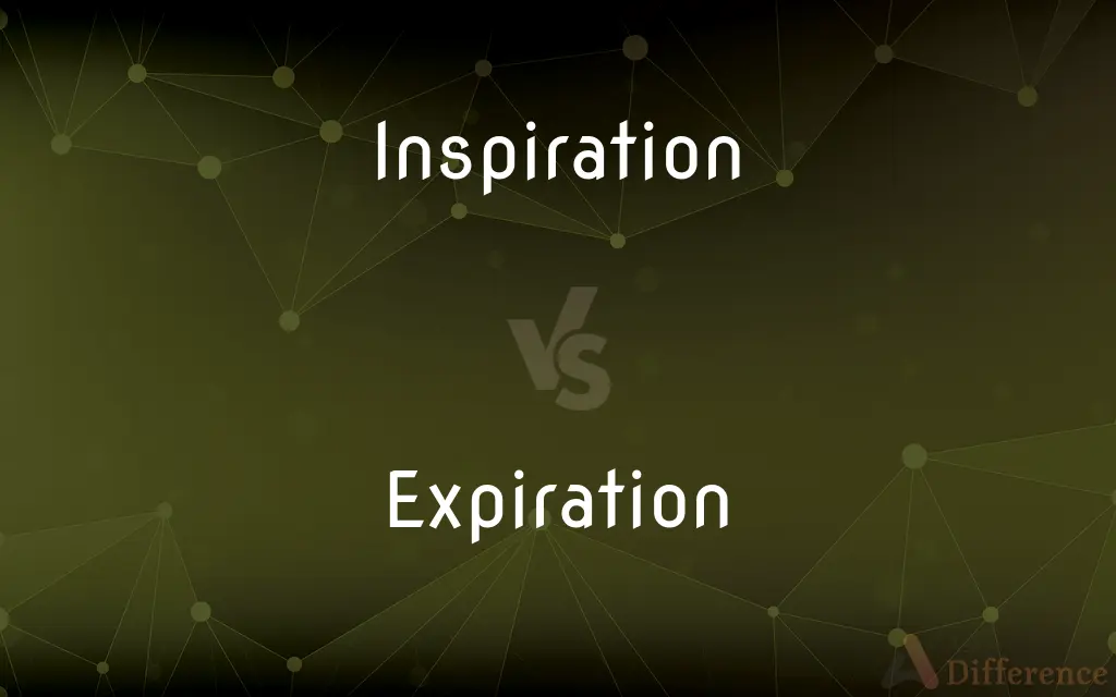 Inspiration vs. Expiration — What's the Difference?