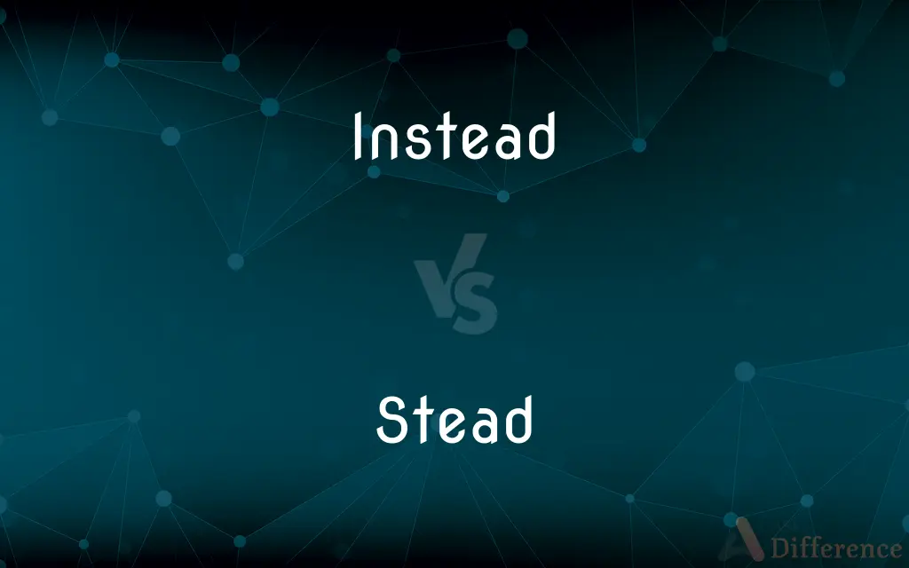 Instead vs. Stead — What's the Difference?