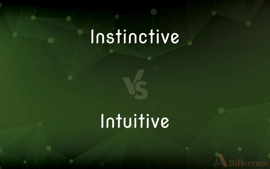 Instinctive vs. Intuitive — What's the Difference?