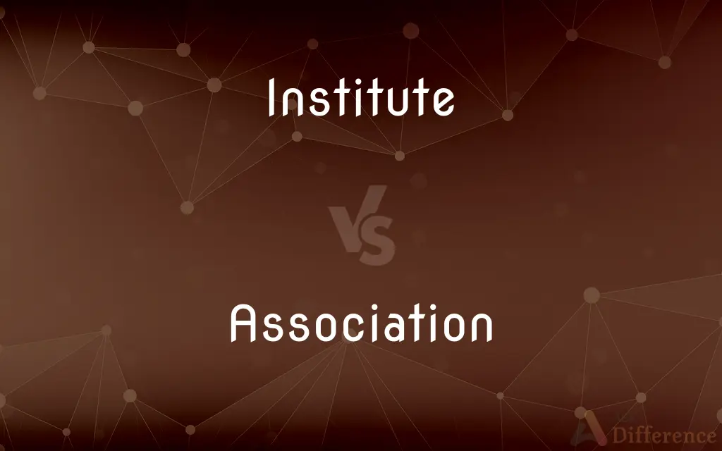 Institute vs. Association — What's the Difference?