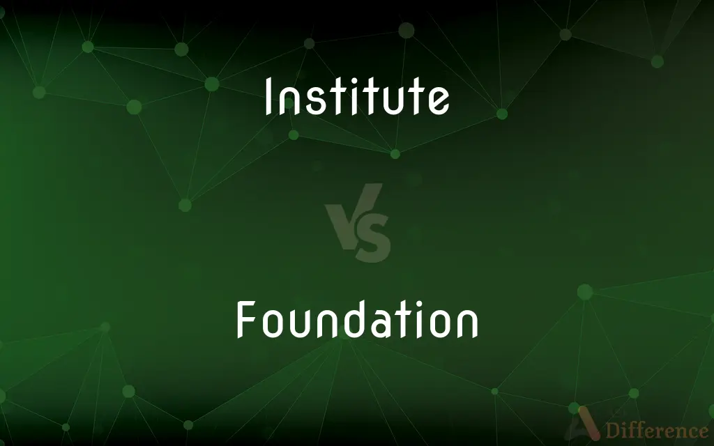 Institute vs. Foundation — What's the Difference?