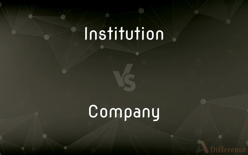 Institution vs. Company — What's the Difference?