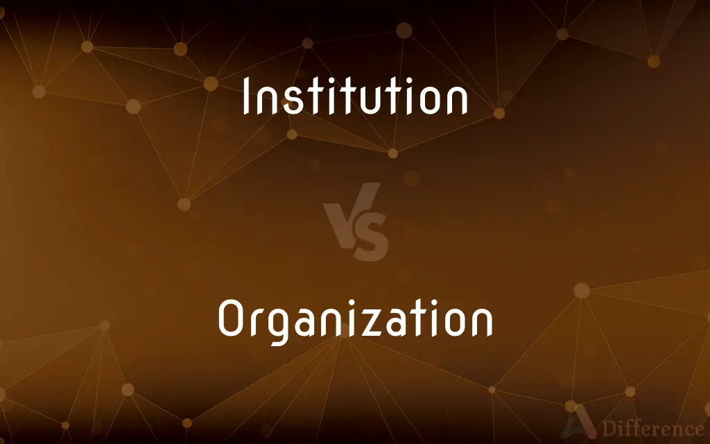 Institution vs. Organization — What's the Difference?
