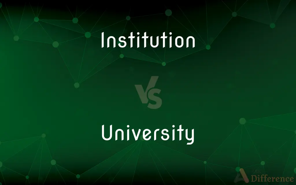 Institution vs. University — What's the Difference?