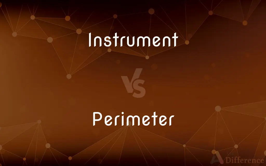 Instrument vs. Perimeter — What's the Difference?