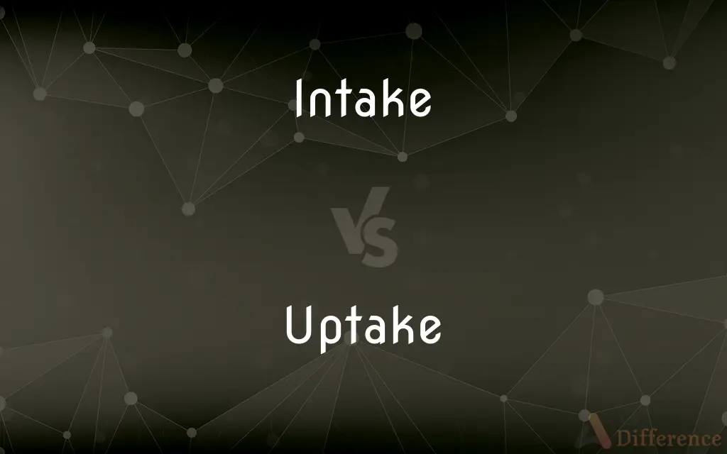 Intake vs. Uptake — What's the Difference?