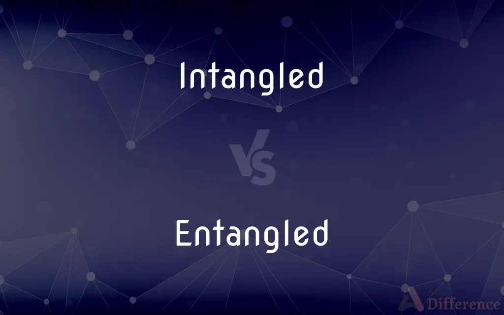 Intangled vs. Entangled — What's the Difference?