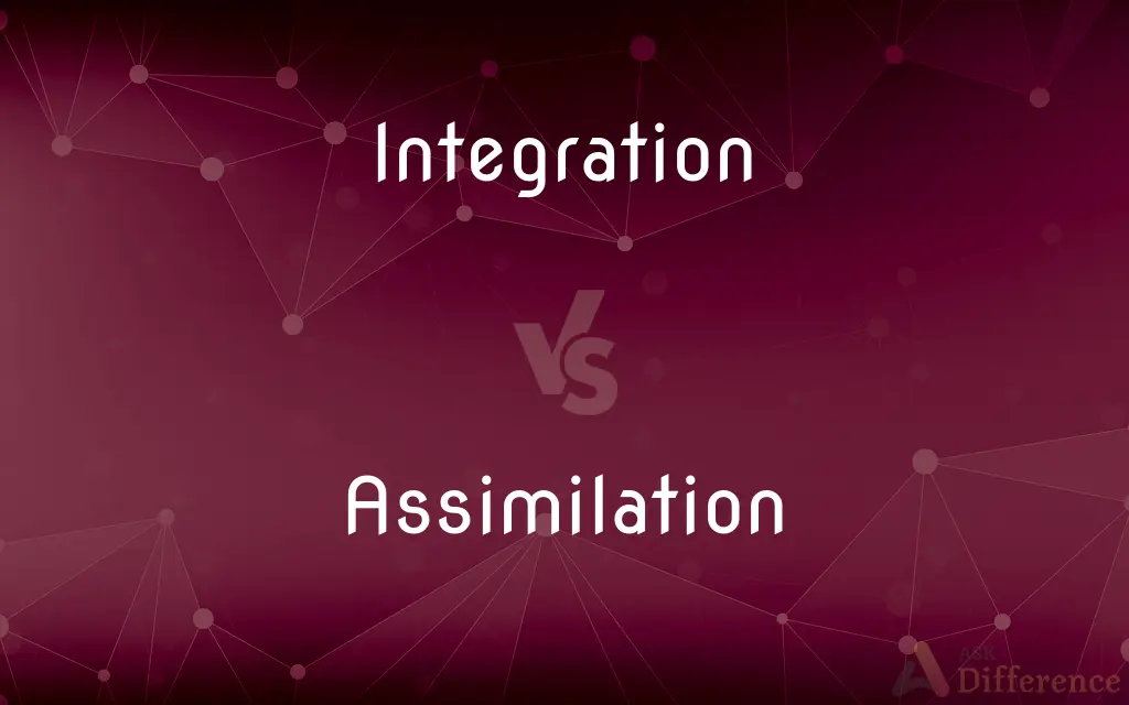 Integration vs. Assimilation — What's the Difference?