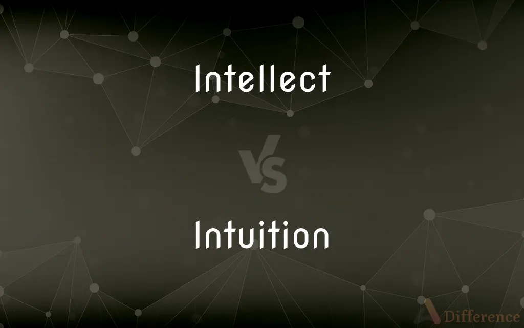 Intellect vs. Intuition — What's the Difference?