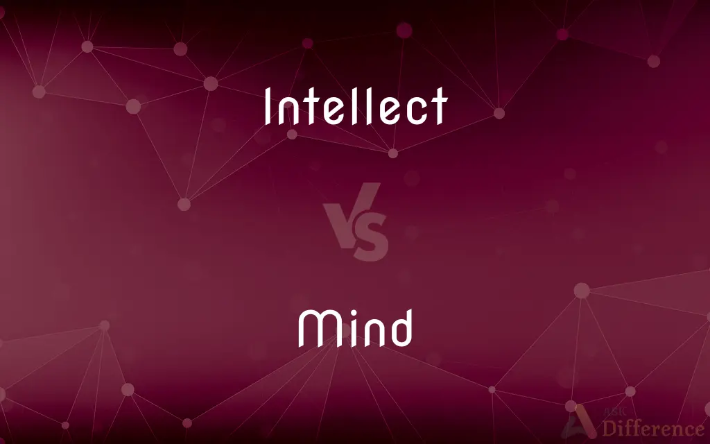 Intellect vs. Mind — What's the Difference?