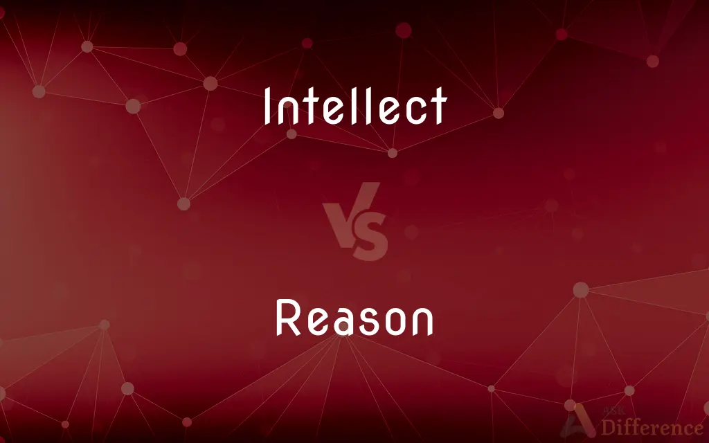 Intellect vs. Reason — What's the Difference?