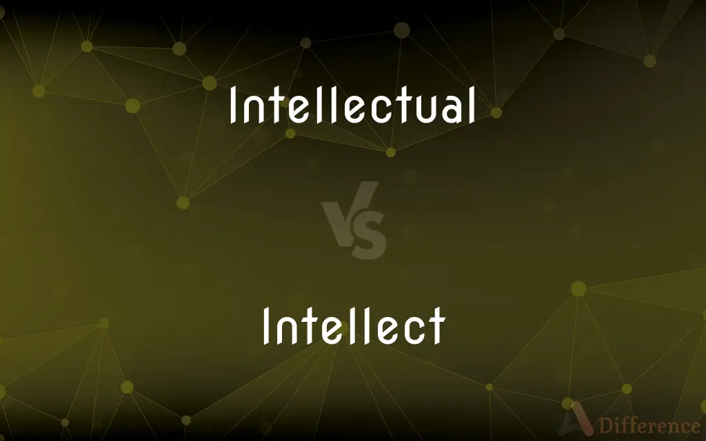 Intellectual vs. Intellect — What's the Difference?