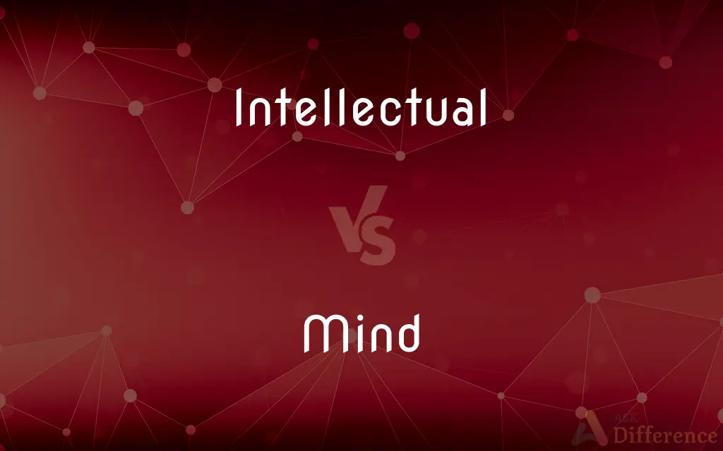 Intellectual vs. Mind — What's the Difference?