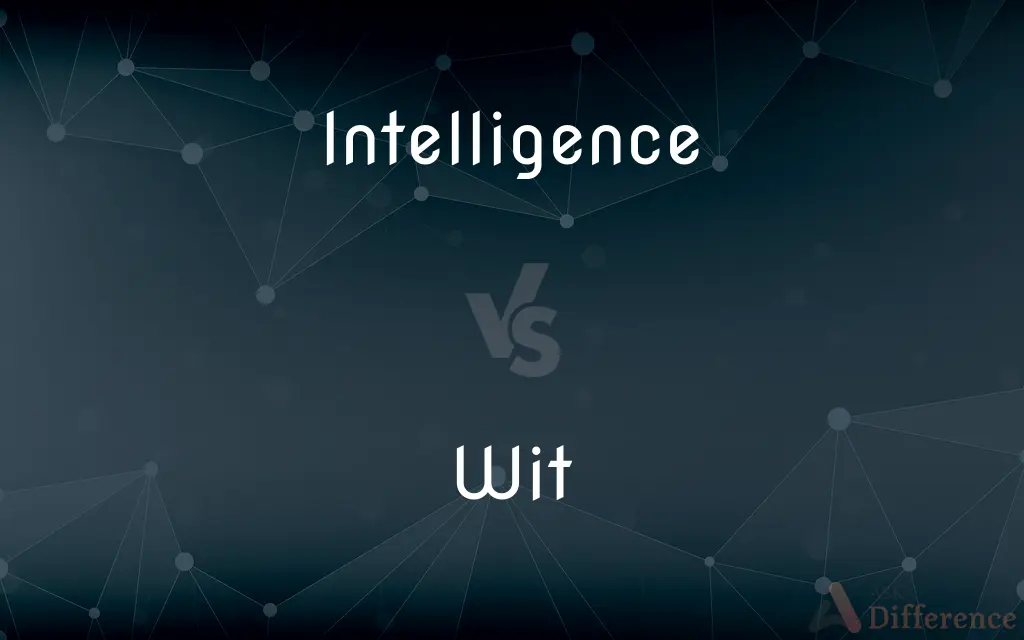 Intelligence vs. Wit — What's the Difference?