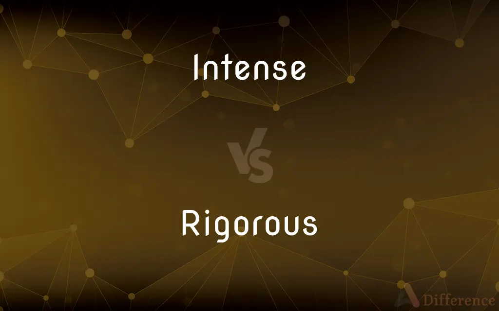 Intense vs. Rigorous — What's the Difference?