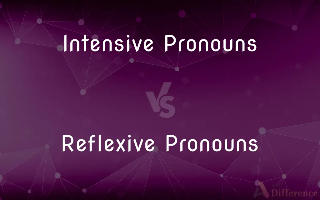 Intensive Pronouns vs. Reflexive Pronouns — What's the Difference?