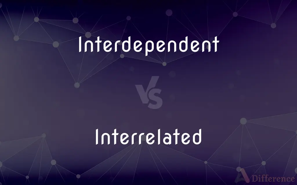 Interdependent vs. Interrelated — What's the Difference?