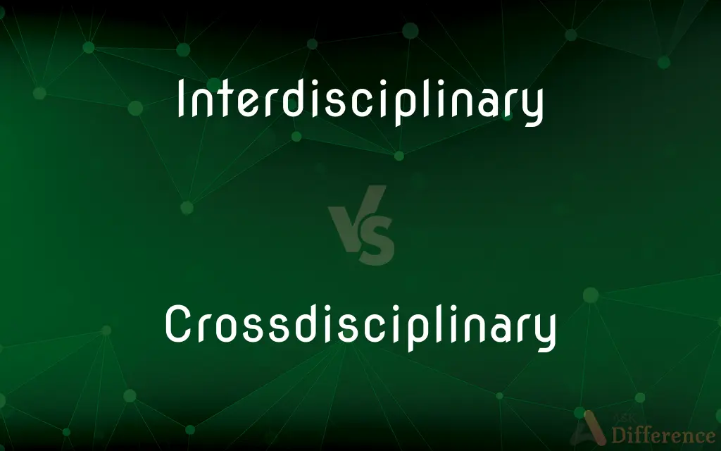 Interdisciplinary vs. Crossdisciplinary — What's the Difference?
