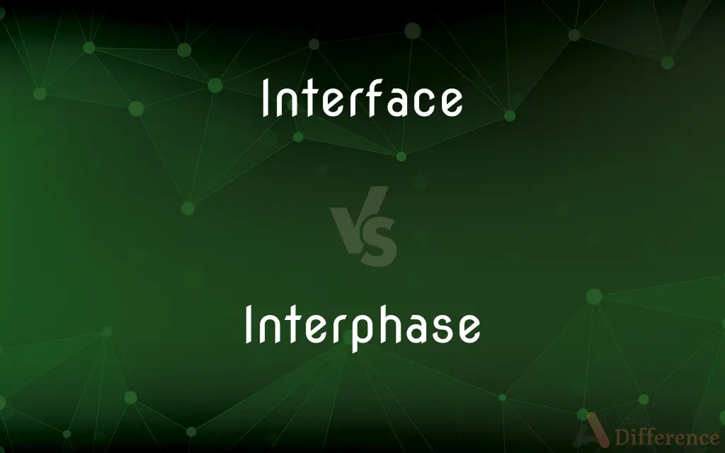 Interface vs. Interphase — What's the Difference?
