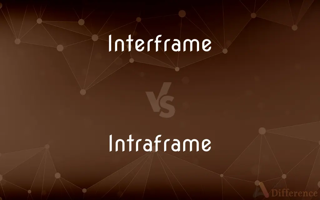 Interframe vs. Intraframe — What's the Difference?