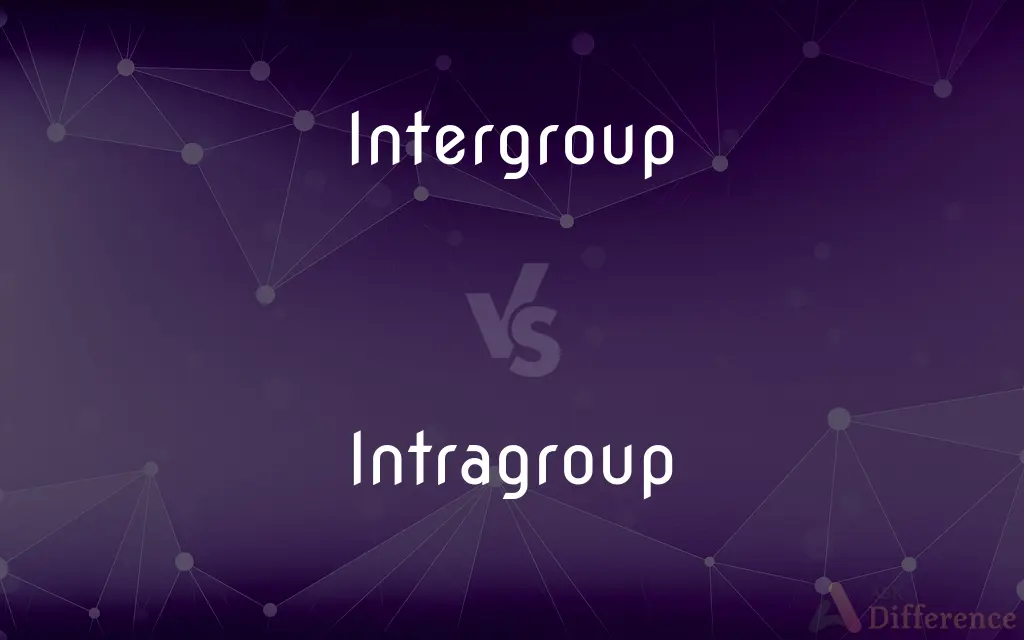 Intergroup vs. Intragroup — What's the Difference?