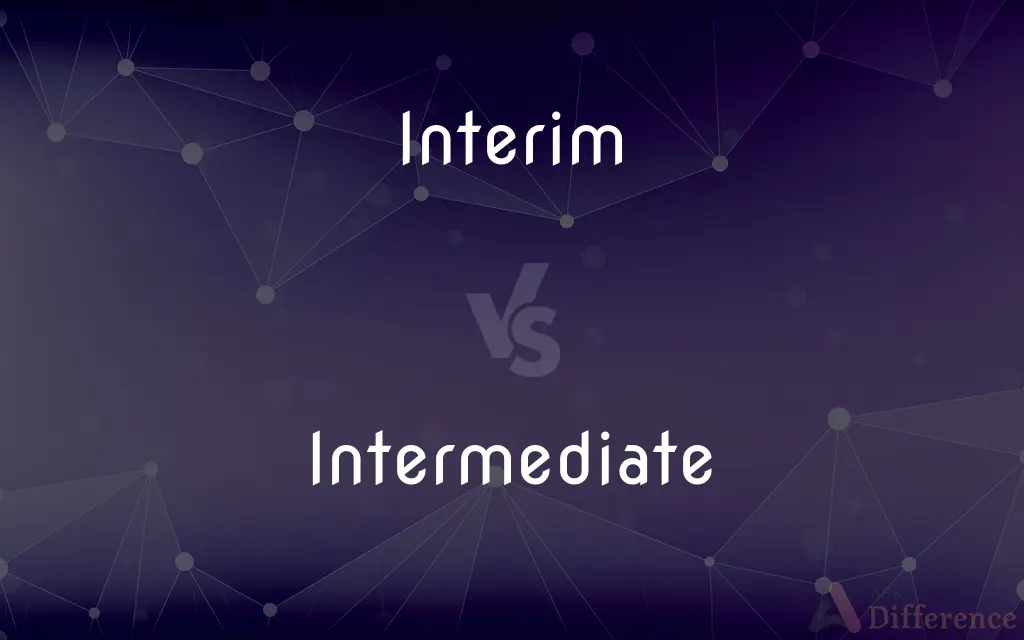 Interim vs. Intermediate — What's the Difference?
