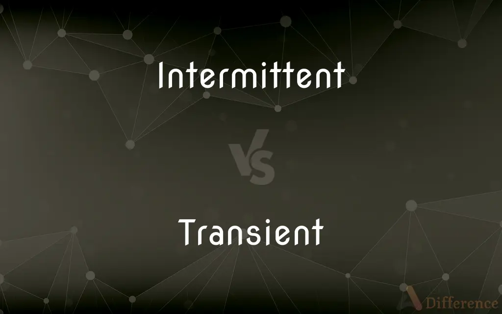 Intermittent vs. Transient — What's the Difference?