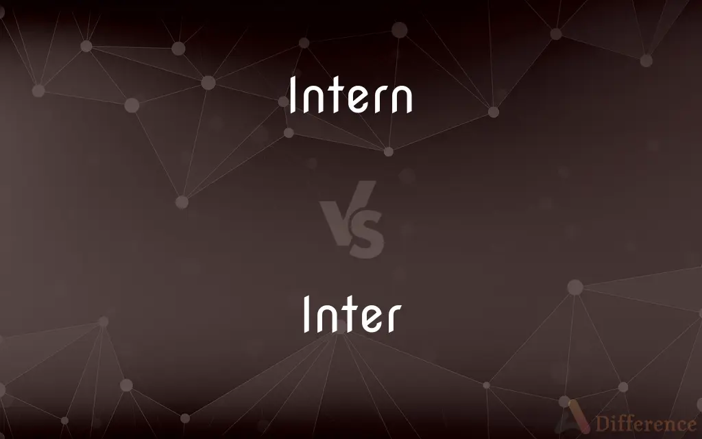 Intern vs. Inter — What's the Difference?