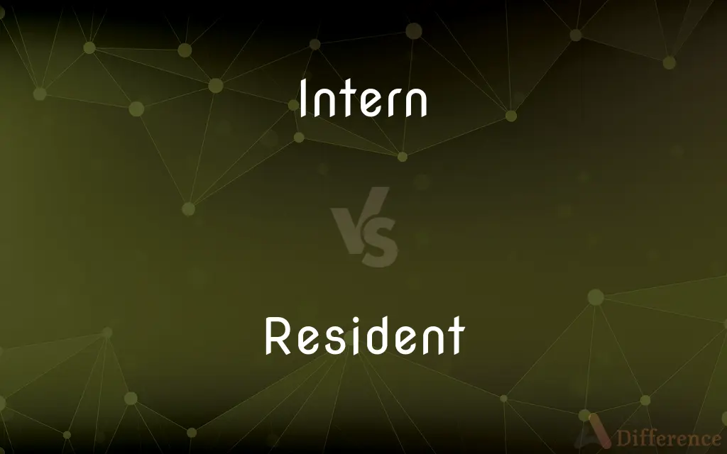 Intern vs. Resident — What's the Difference?